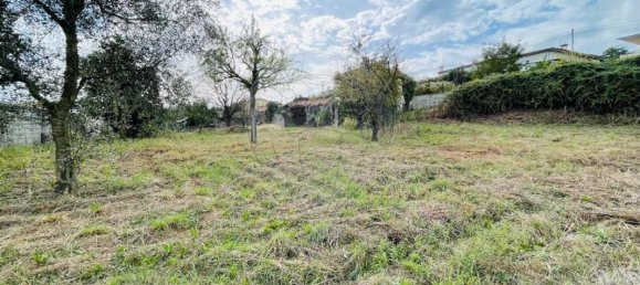 3 bedrooms House in Requiao, Portugal No. 37235 13