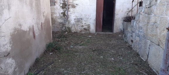 7 Schlafzimmer Villa in Fontelo, Portugal, Nr. 75658 8