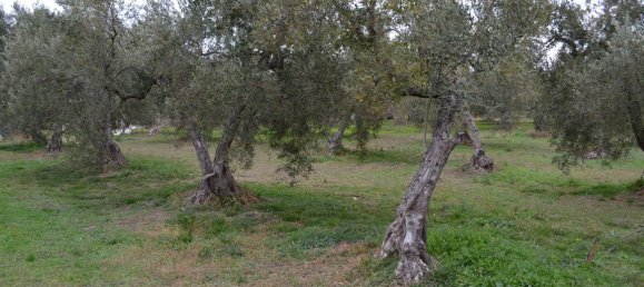 2700m² Hotel in Polygyros, Greece No. 5921 4