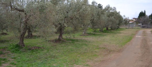 2700m² Hotel in Polygyros, Greece No. 5921 3