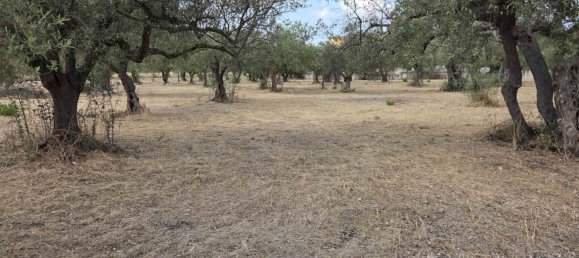 Terreno em Sciacca, Italy 3330 m² N.º 282778 5