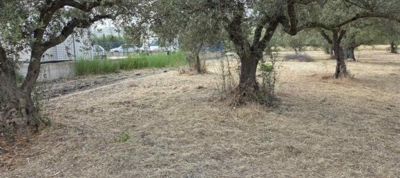 Terreno em Sciacca, Italy 3330 m² N.º 282778 8