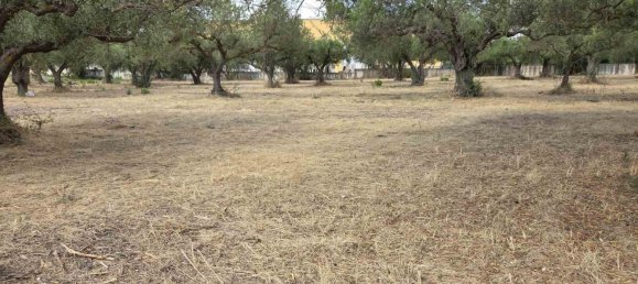 Terreno em Sciacca, Italy 3330 m² N.º 282778 7