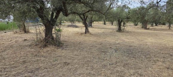 Terreno em Sciacca, Italy 3330 m² N.º 282778 6