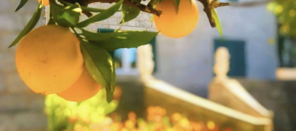 9 bedrooms House in Cascais, Portugal No. 109998 9