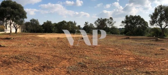 Terreno em Almancil, Portugal 6467 m² N.º 146638 6
