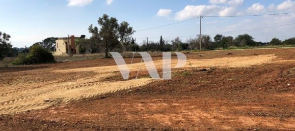 Terreno em Almancil, Portugal 6467 m² N.º 146638 3
