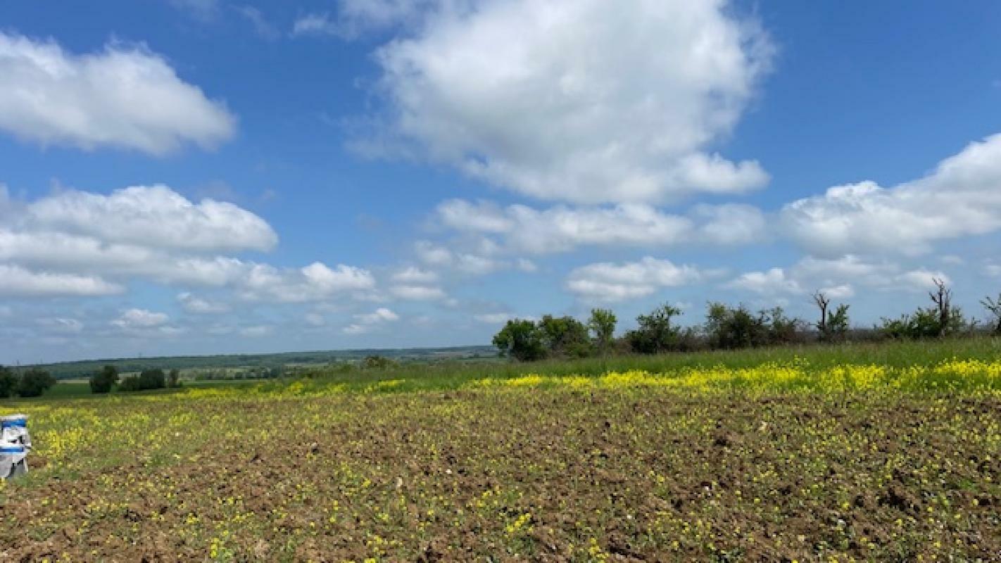 Земельный участок в Арокур, Франция № 75758