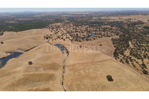 3 bedrooms Castles in Beja, Portugal No. 313503