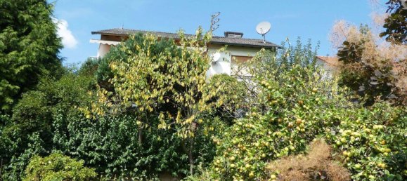 3 bedrooms House in Main-Kinzig, Germany No. 328643 16