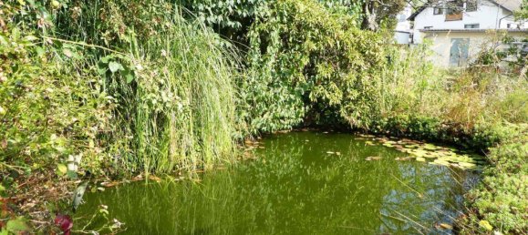 3 bedrooms House in Main-Kinzig, Germany No. 328643 15