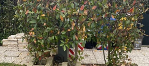 5 rooms House in Montebelluna, Italy No. 75583 17