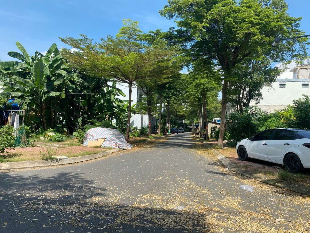  Land in District 7, Vietnam No. 13926