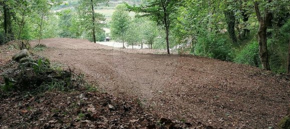 10 Schlafzimmer Haus in Celorico de Basto, Portugal, Nr. 51824 22