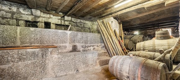 10 Schlafzimmer Haus in Celorico de Basto, Portugal, Nr. 51824 13