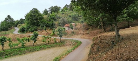 10 Schlafzimmer Haus in Celorico de Basto, Portugal, Nr. 51824 21