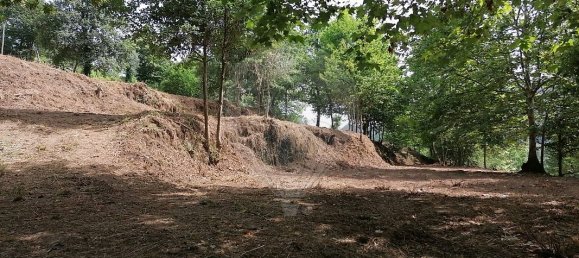 10 Schlafzimmer Haus in Celorico de Basto, Portugal, Nr. 51824 24