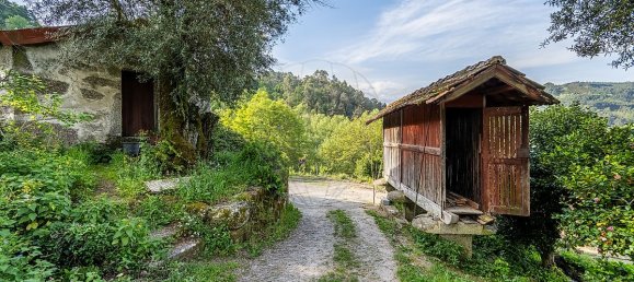 10 Schlafzimmer Haus in Celorico de Basto, Portugal, Nr. 51824 17