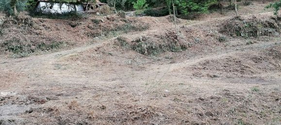 10 Schlafzimmer Haus in Celorico de Basto, Portugal, Nr. 51824 28