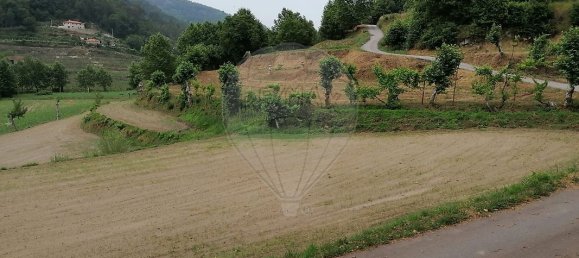 10 Schlafzimmer Haus in Celorico de Basto, Portugal, Nr. 51824 23