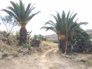 3 rooms House in Grammichele, Italy No. 307416