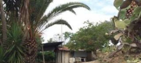 3 rooms House in Grammichele, Italy No. 307416 4