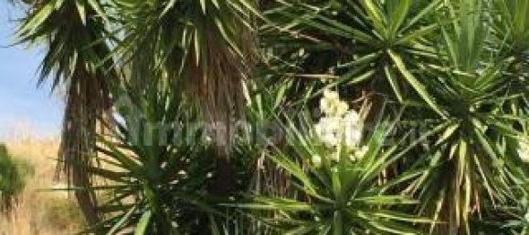 3 rooms House in Grammichele, Italy No. 307416 3