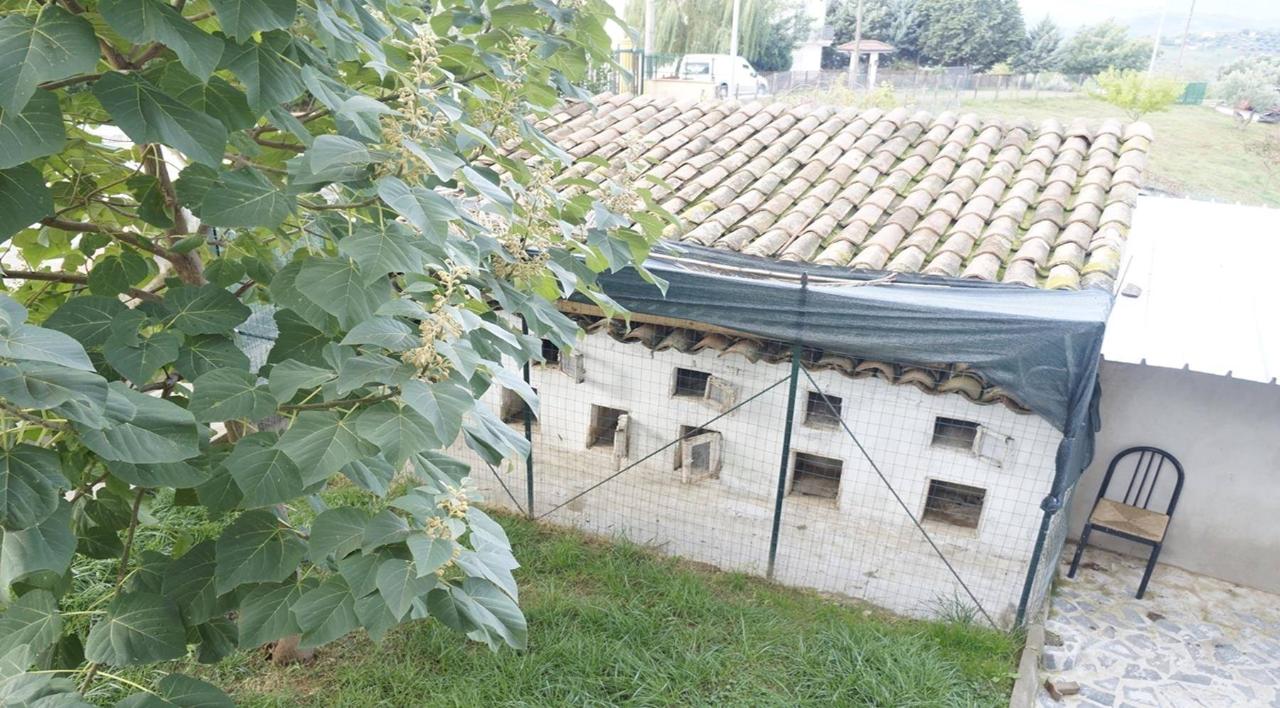 6 rooms Land in Mongrassano, Italy No. 177856