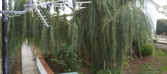 6 rooms Land in Mongrassano, Italy No. 177856 15