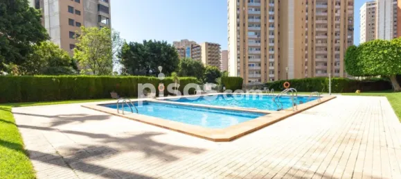 1 bedroom Apartment in Benidorm, Spain No. 134113 24