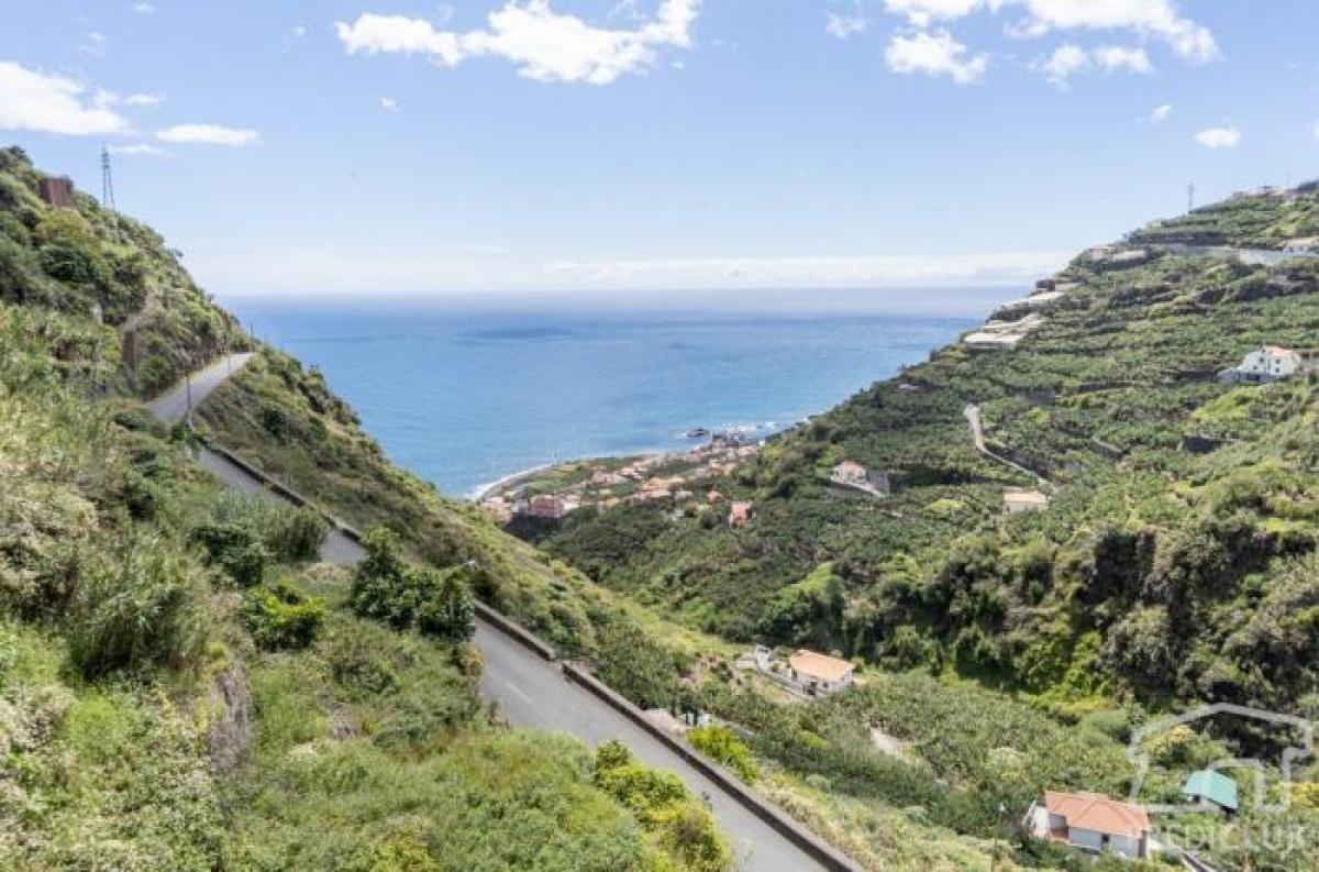  Land in Ribeira Brava, Portugal No. 2076