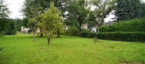  قطعة أرض في Dahme-Spreewald, Germany رقم 316970 9