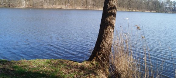  قطعة أرض في Dahme-Spreewald, Germany رقم 316970 6