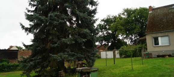  قطعة أرض في Dahme-Spreewald, Germany رقم 316970 15