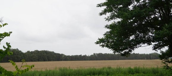  قطعة أرض في Dahme-Spreewald, Germany رقم 316970 29