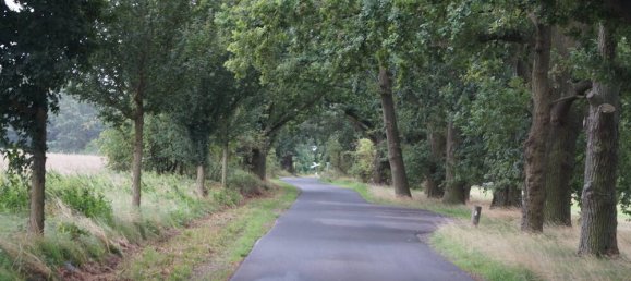  قطعة أرض في Dahme-Spreewald, Germany رقم 316970 28