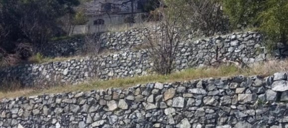 3 bedrooms Villa in Moniatis, Cyprus No. 1513 5