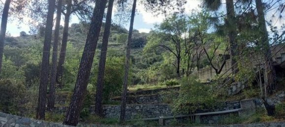 3 bedrooms Villa in Moniatis, Cyprus No. 1513 6