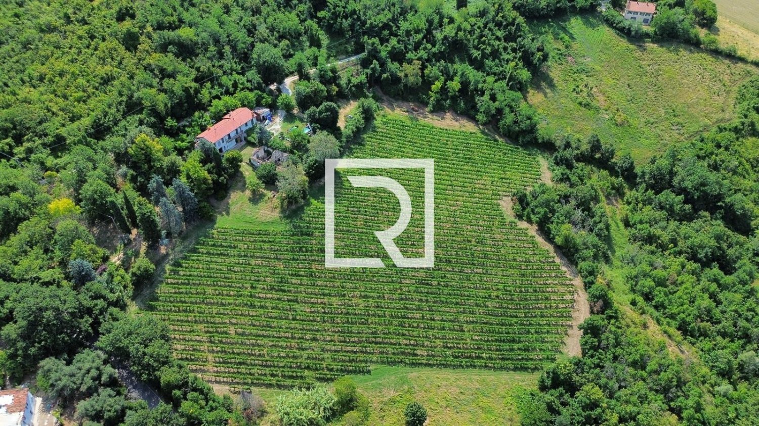 80000m² Land in Bertinoro, Italy No. 297166
