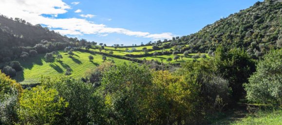 3 Schlafzimmer Haus in Ragusa, Italy, Nr. 5529 14