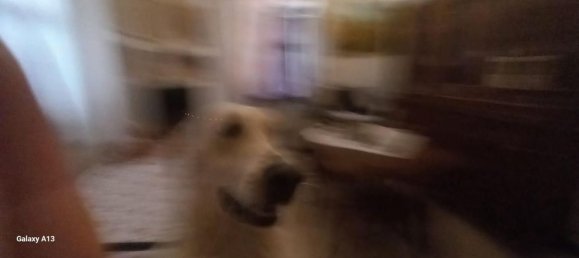 5-Zimmer Wohnung in Carrara, Italy, Nr. 47973 44