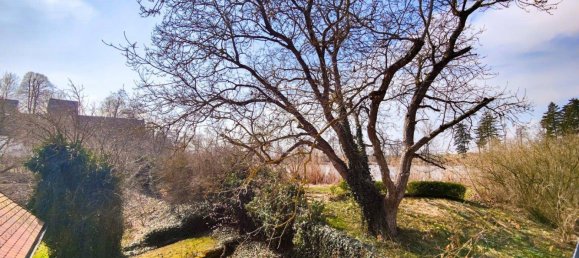 Дом с 7 комнатами в Гёпфриц ан дер Вильд, Австрия № 141118 39