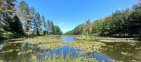 4 bedrooms House in Schmalkalden-Meiningen, Germany No. 154301 5