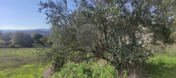 1 Schlafzimmer Haus in Belmonte, Portugal, Nr. 42390 4