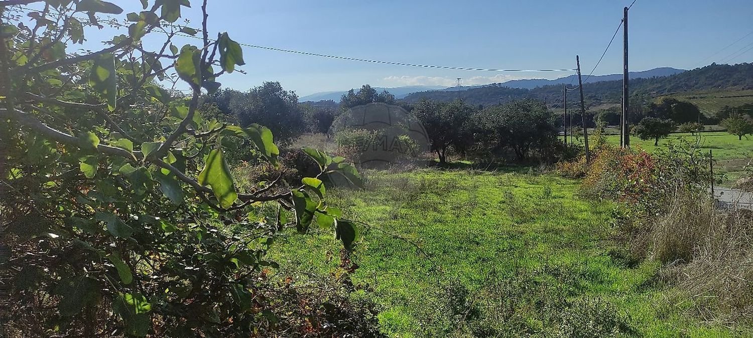 1 Schlafzimmer Haus in Belmonte, Portugal, Nr. 42390