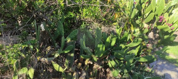 1 Schlafzimmer Haus in Belmonte, Portugal, Nr. 42390 9