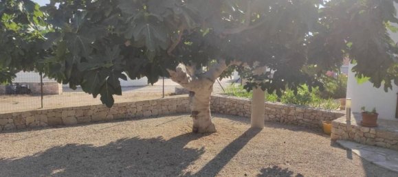 2 bedrooms Villa in Morciano di Leuca, Italy No. 126440 25