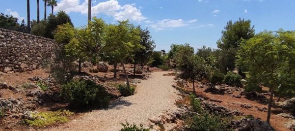 2 bedrooms Villa in Morciano di Leuca, Italy No. 126440 49