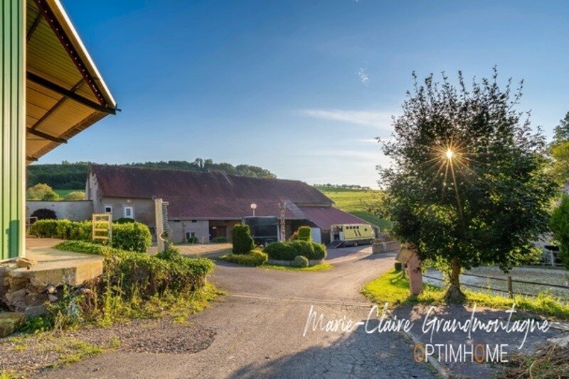 5 bedrooms Castles in Hombourg-Haut, France No. 236122