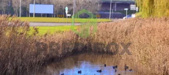 1 bedroom Apartment in Aveiro, Portugal No. 83042 36